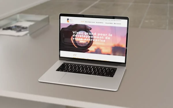 P2A Expertise - Création Site Internet Vitrine - Swebetech